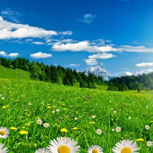 نتيجة بحث الصور عن فصل الربيع