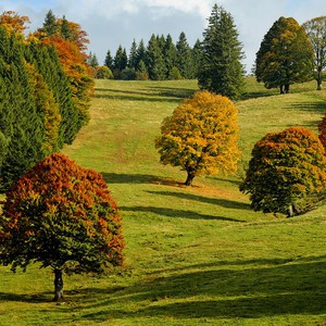 هكذا ذُكر شهر تشرين الأول في رزنامة الأمثال الشعبية؟