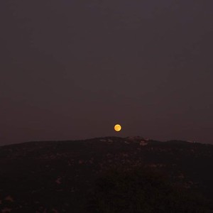 الاحتفال ب " قمر الحصادين " بأمسية تراثية بيئية فلكلية في لواء الكورة / الاردن 