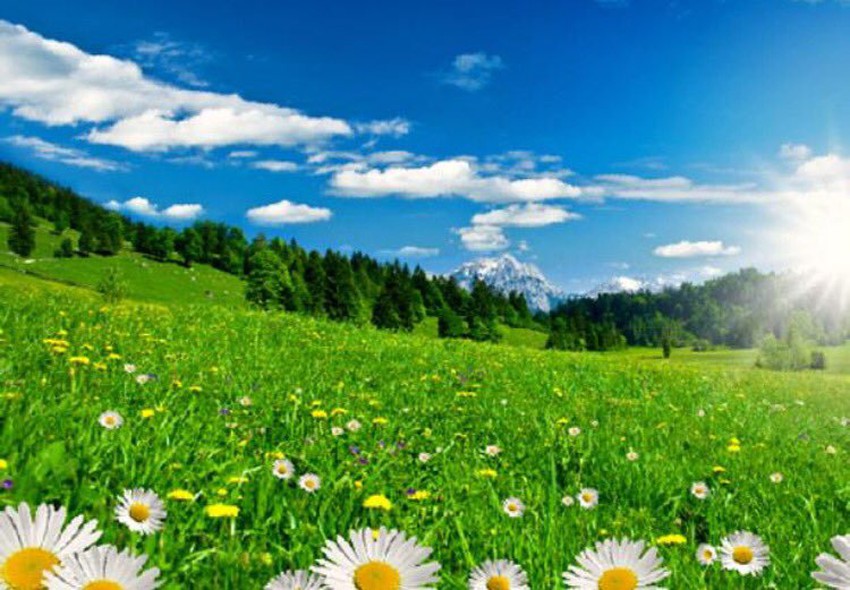 نتيجة بحث الصور عن فصل الربيع